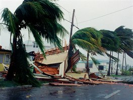 Na snímku kody zpsobené hurikánem Georges v roce 1998 na Florid.