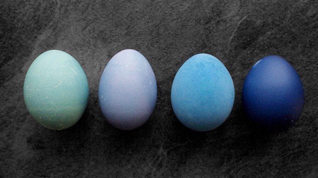 Zelná šťáva barví podle svého pH – zásaditá barví do bleděmodré, kyselá pak víc k fialovým tónům. Sytost barvy určíte délkou barvení. První vejce zleva je barveno více zásaditou šťávou, druhé naopak víc kyselou. U třetího a čtvrtého vejce vidíte rozdíl v délce barvení – 3 hodiny vs. 12 hodin v nálevu.