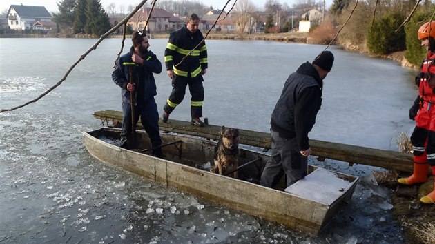 Profesionální hasiči ze Žďáru nad Sázavou, společně s místními dobrovolnými hasiči, v sobotu zachraňovali na obecním rybníku Jámy psa, pod kterým praskl led.