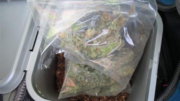 Snímky z kontroly, při které celníci objevili v autě cestujících mladíků téměř 300 kusů sušených drobných hub lysohlávek a několik gramů marihuany.
