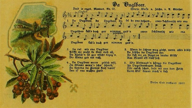 O citronech severu, jak se moravskému sladkoplodému jeřábu říkalo díky vysokému obsahu vitaminu C, dokonce vznikaly písně, jak dokazuje notový záznam s textem ve slezském nářečí z roku 1900.