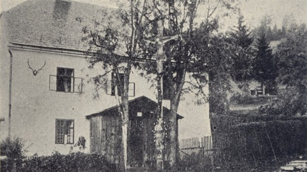 Historický snímek jednoho z nejstarších stromů moravského sladkoplodého jeřábu, který se dodnes dochoval. Fotografie ho v Petříkově zachytila v roce 1913.