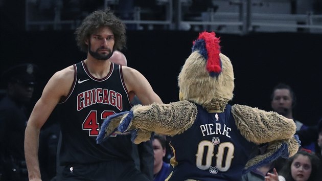 Robin Lopez, pivot Chicaga, o pestvce tan s neworleanskm maskotem Pierrem. Dvod? V Detroitu se slavily narozeniny maskota Hoopera.