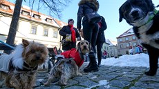 Zhruba 200 lidí se v úterý po 17. hodin selo v Prachaticích k hromadnému...