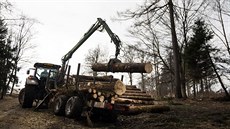 Likvidace následk vichru na Olomoucku u silnice spojující obce Dalov a...