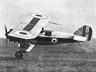 Armstrong Whitworth Siskin