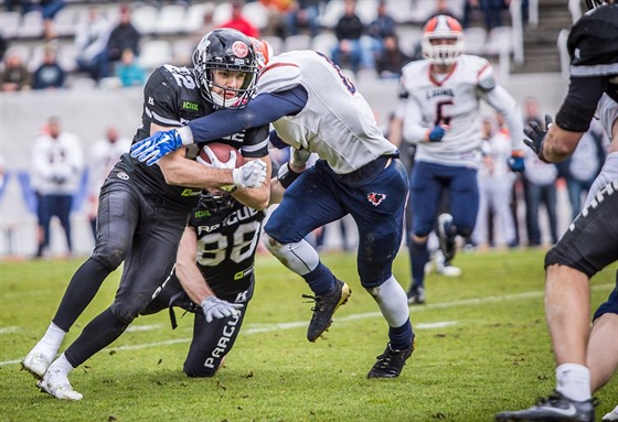 Black Panthers nedali v derby Prague Lions ádnou anci a vypráili svého soupee jednoznan 48:0. 