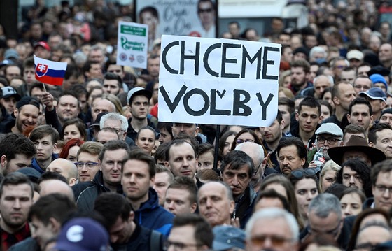 Demonstranti poadují pedasné volby. (Foto z beznových protest.)