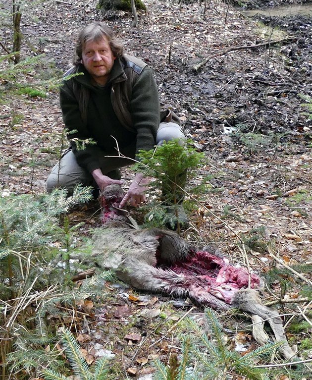 Ve své honitb Petr Slaba nachází srny zabité vlky.