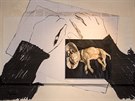 V eskokrumlovském Egon Schiele Art Centru zaala sezona pod názvem Pohled...
