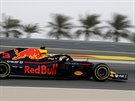 Daniel Ricciardo z Red Bullu bhem tréninku v Bahrajnu