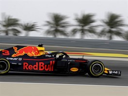 Daniel Ricciardo z Red Bullu bhem trninku v Bahrajnu