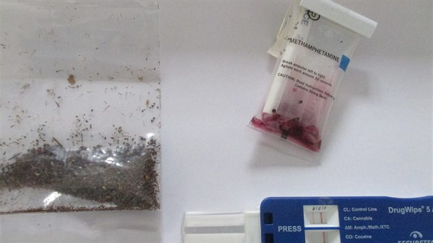 Celníci našli na poště v Chebu drogy za bezmála milion korun.