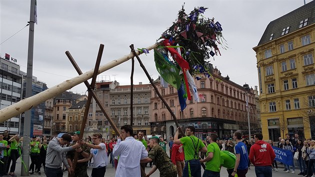 Studenti univerzit vztyčili na náměstí Svobody májku. Lákají tak na jednodenní hudební festival Brněnský Majáles, který se uskuteční na výstavišti 5. května.
