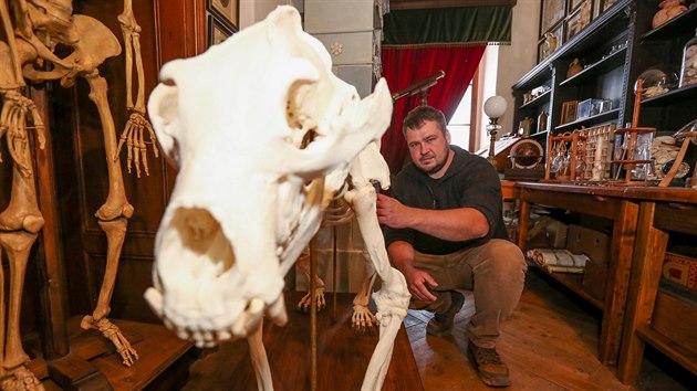 Medvd Vok se vrtil na zmek esk Krumlov. Jeho vypreparovanou ki a kostru zhotovil Benjamin Hlivka.