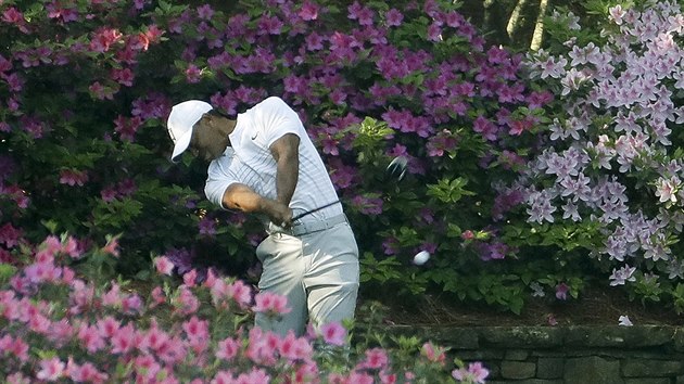 Tiger Woods pi trninkovm kole ped Masters v August.