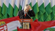 Předvolební mítink maďarského premiéra Viktora Orbána v Székesfehérváru (6....