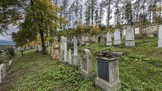 Část hřbitova o rozloze přes tisíce metrů čtverečných v Hroubovicích na...
