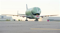 Výroba obího dopravního letounu Beluga XL ve francouzském Toulouse