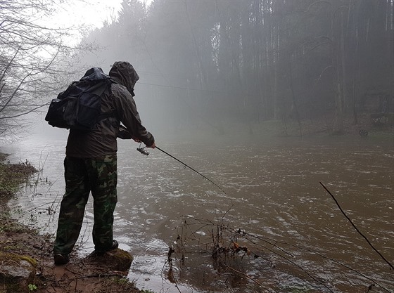 První den pstruhové sezony rybám nemohl pokazit ani vytrvalý dé (16.4.2018).