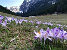 Vyfoceno na úpatí Polských Tater v sobotu 14. 4. 2018. Tato scenérie nám...