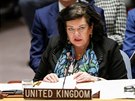 Britská velvyslankyn  v OSN Karen Piercová  bhem mimoádné schzky Rady...
