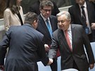 Rada bezpenosti OSN se v sobotu sela k mimoádnému zasedání k situaci v Sýrii...