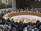 Mimoádné zasedání Rady bezpenosti OSN kvli útoku USA, Británie  a Francie na...