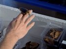 Chov váb se odehrává v plastových krabikách, podobn jako u sklípkan.