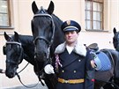 Jednoho z koní na pohbu Václava Havla sedlal také mistr opratí Jií Nesvail.