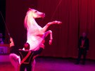 Momentka z vystoupen Nrodnho cirkusu Original Berousek