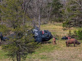 Poraená gorila ve Svt dinosaur v Arkansasu, USA