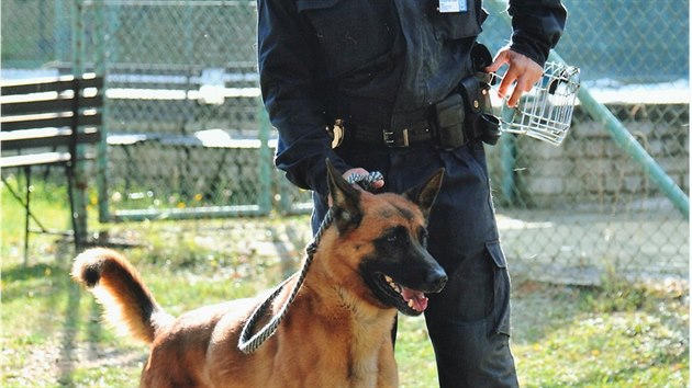 Služební pes War zavedl psovoda k sebevrahovi, kterého se podařilo zachránit.