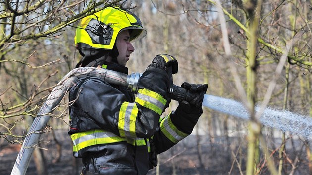 Hasi�i podruh� ve dvou dnech likvidovali lesn� po��r u Oslavan na Brn�nsku.