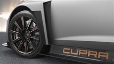 Seat zakládá novou znaku Cupra zamenou na sportovní modely.