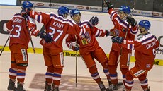 Čeští hokejisté se radují z gólu Filipa Zadiny.