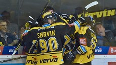 Litvínovští hokejisté se radují z gólu proti Jihlavě.
