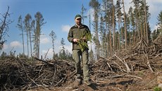 Kvli krovcové kalamit zstávají na mnoha místech kraje místo les holiny, jako napíklad na Vítkovsku. Sucho navíc ztuje náhradní výsadbu.
