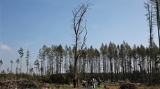 Radarové odhady týdenního úhrnu sráek od 28. kvtna do 4. ervna 2018. Bílé skvrny jsou místa, kde neprelo vbec.