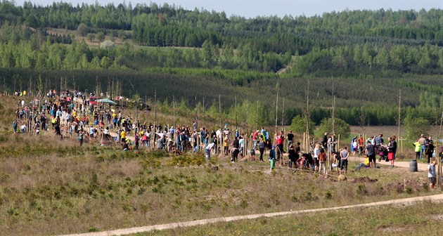 Sto rodin vysadilo sto strom� ke stému výro�í �eskoslovenska u jezera Medard....