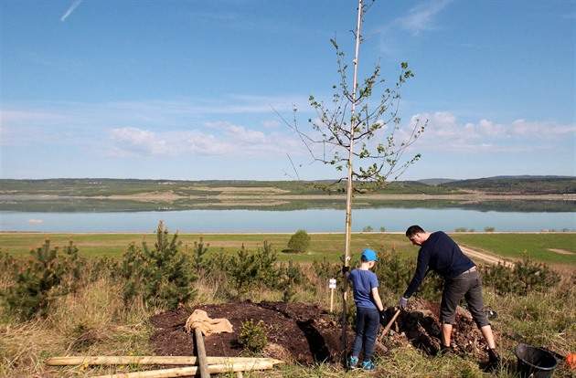 Sto rodin vysadilo sto strom ke stému výroí eskoslovenska u jezera Medard....