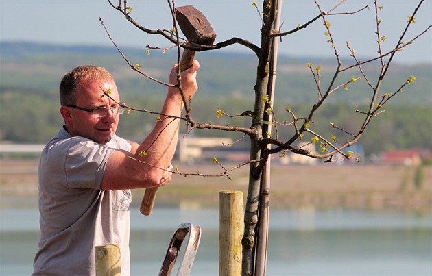 Alej Přátelství usiluje o úspěch v anketě, potřebuje ale odbornou pomoc