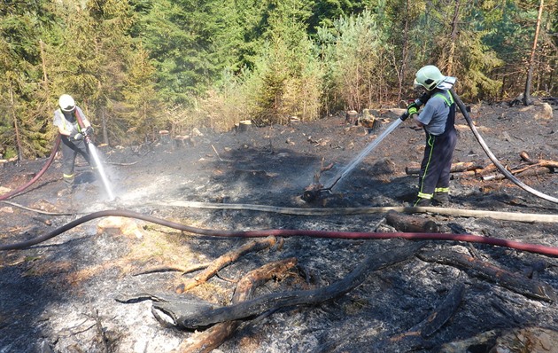 Na Děčínsku hoří les. Podle odhadů požár zasáhl čtyři hektary
