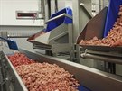 Naváené maso urené na konzervování putuje na pásech do mixéru na mletí.