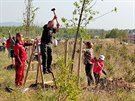Sto rodin vysadilo sto stromů ke stému výročí Československa u jezera Medard...