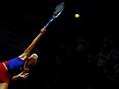 Tenistka Karolína Plíková podává bhem semifinále Fed Cupu proti Nmecku.