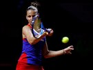 Tenistka Karolína Plíková v semifinále Fed Cupu proti Nmecku.