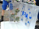 Ledové krychle zvou v Olomouci na Floru i filmový festival AFO