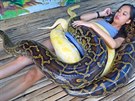 Takto vypadá hadí masá na Filipínách.