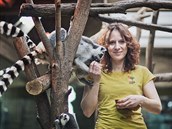 Do výběhu k lemurům mohou ošetřovatelé primátů v plzeňské zoo vejít bez obav.